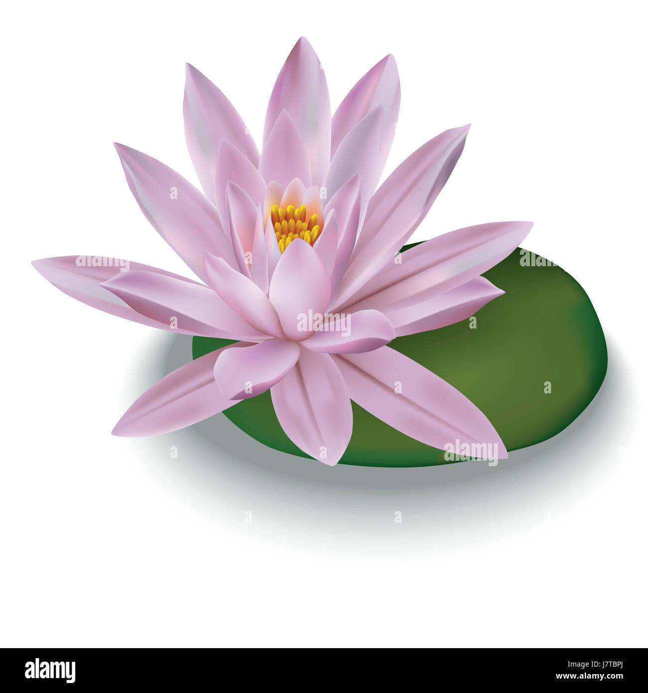 Foglie di piante e fiori di primavera di pittura astratta lotus sfondo floreale di sfondo Foto Stock