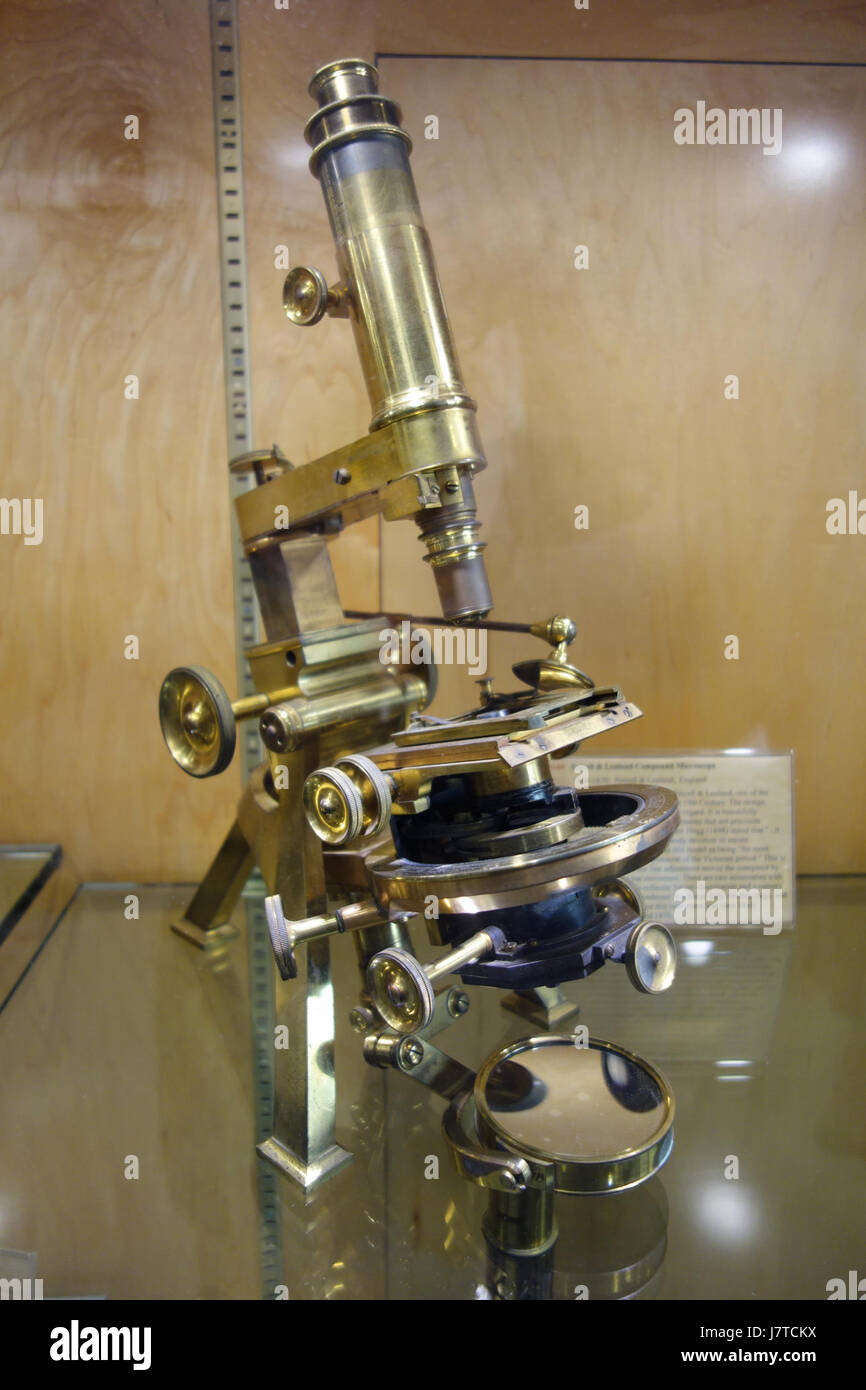 1868 1870, Modello n. 1 microscopio composto, Powell & Lealand, Inghilterra Golub collezione di antichi microscopi DSC04862 Foto Stock