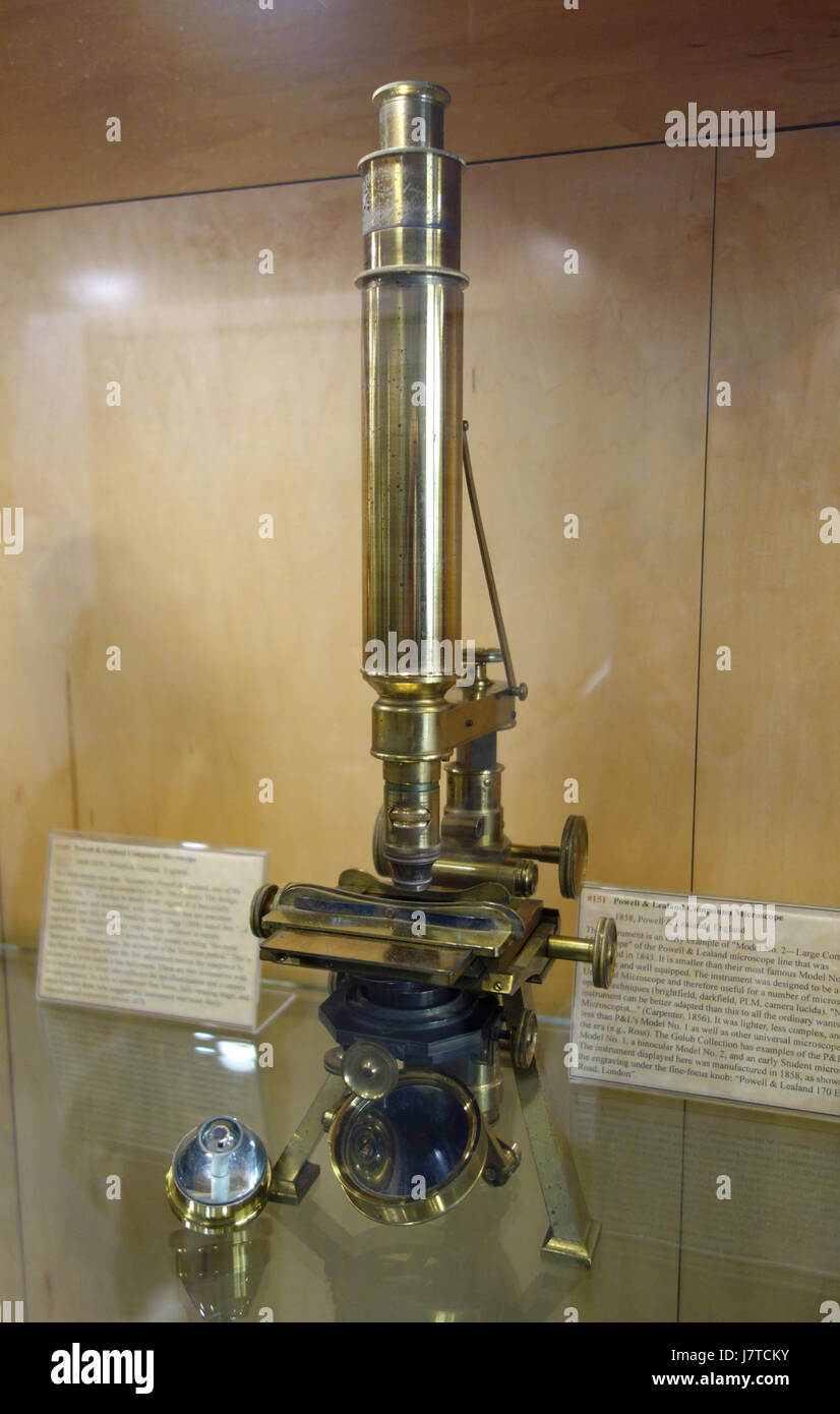 1858, Modello n. 2 microscopio composto, Powell & Lealand, Inghilterra Golub collezione di antichi microscopi DSC04864 Foto Stock
