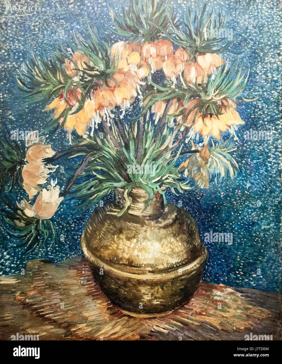 Corona Fritillaries Imperiale in un vaso di rame il mio sogno Foto Stock