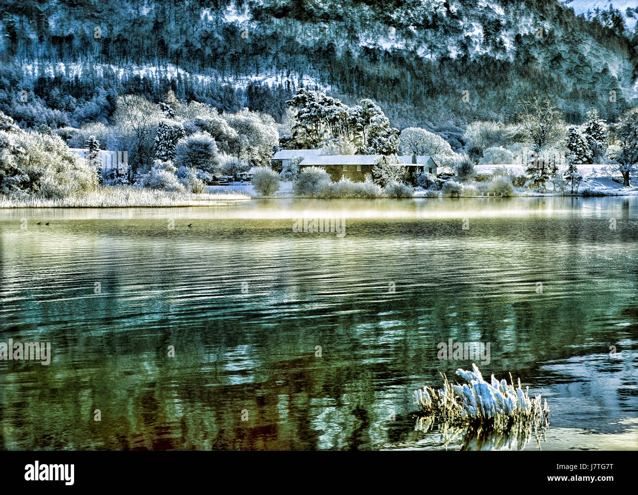 Un inverno nevoso scena sulla Derwent Water Foto Stock