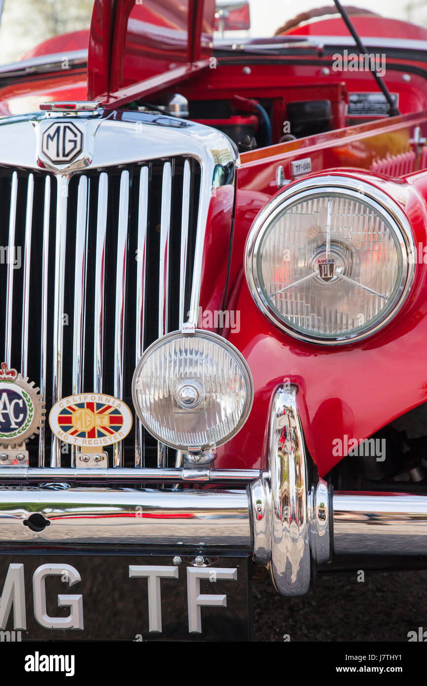 Griglia anteriore di un British Auto sportiva, 1955 MG TF 1500 Roadster sul display in Franklin, Tennessee, Stati Uniti d'America Foto Stock