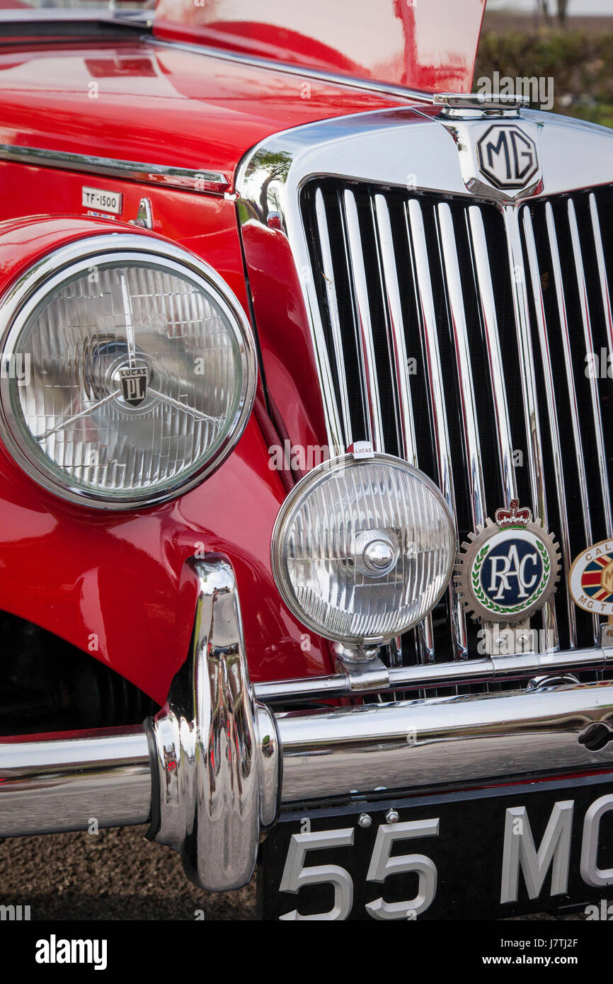 Griglia anteriore di un British Auto sportiva, 1955 MG TF 1500 Roadster sul display in Franklin, Tennessee, Stati Uniti d'America Foto Stock