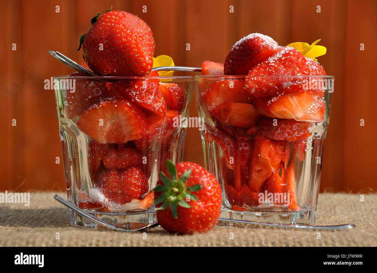Bicchieri fragola vetraio ruddiness vetroso di colore rosso da dessert fragole bicchieri Foto Stock