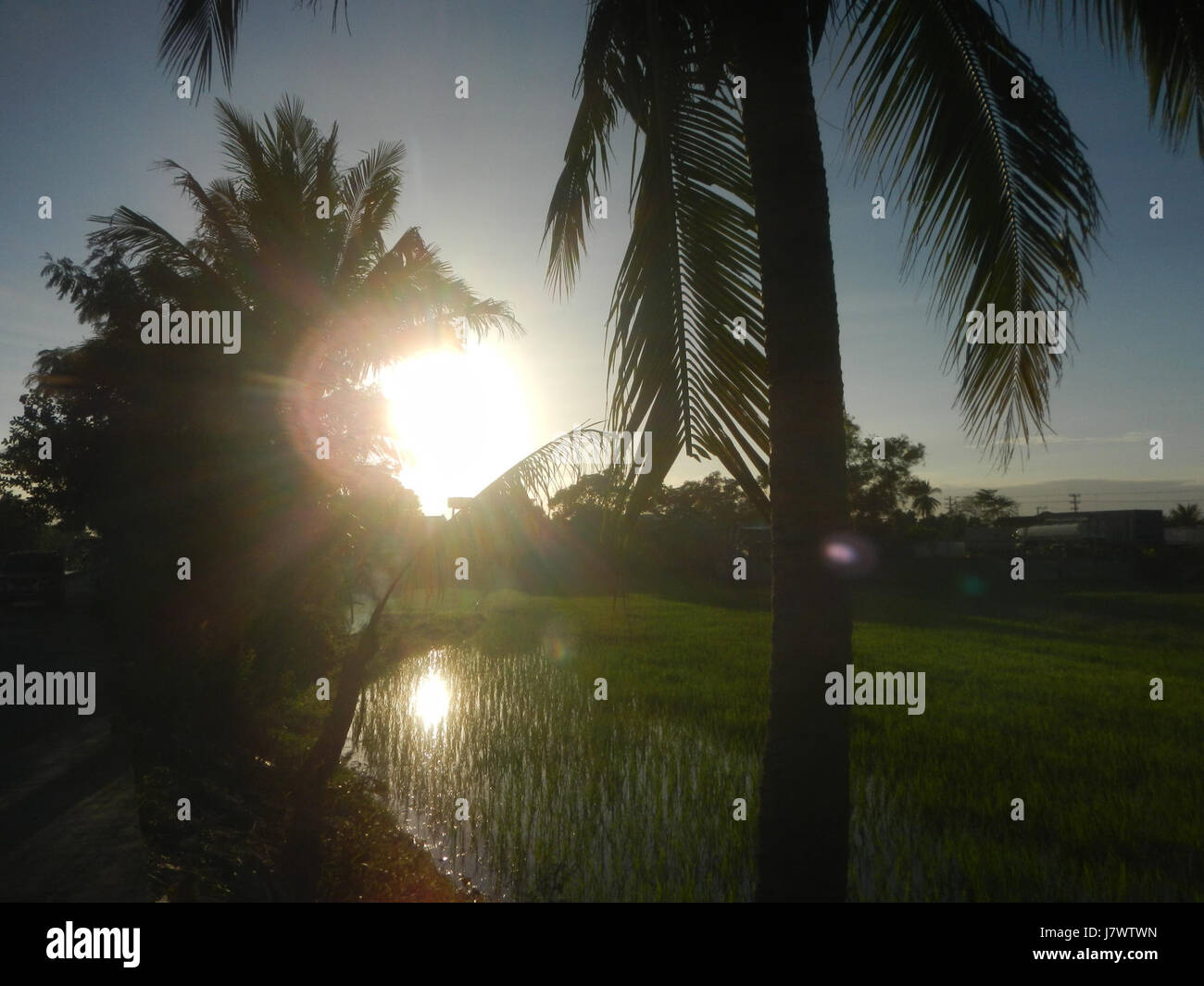 09910 risaie, praterie, alberi, case di irrigazione, Sabang Baliuag, Bulacan ponti stradali 43 Foto Stock