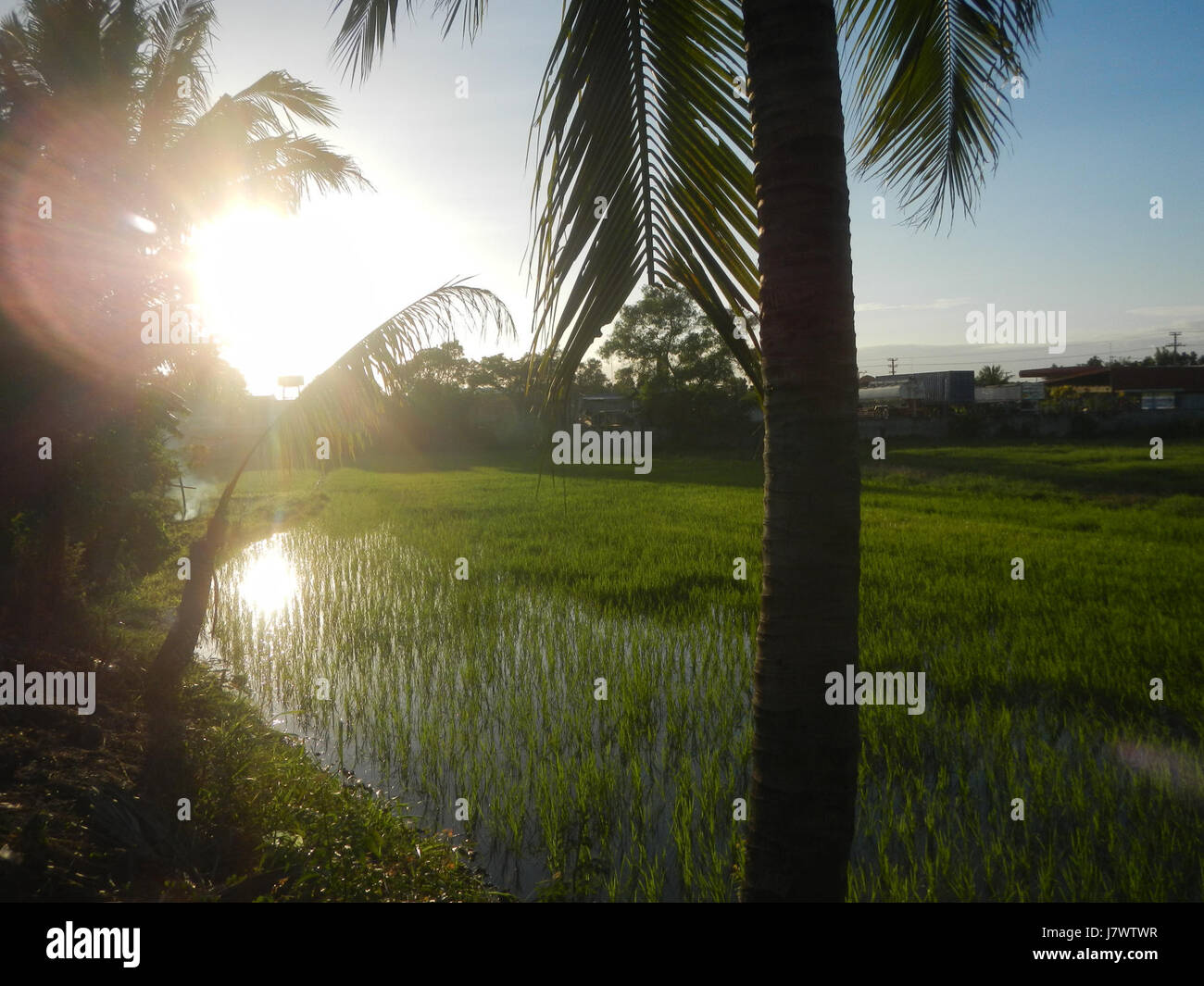 09954 risaie, praterie, alberi, case di irrigazione, Sabang Baliuag, Bulacan ponti stradali 01 Foto Stock