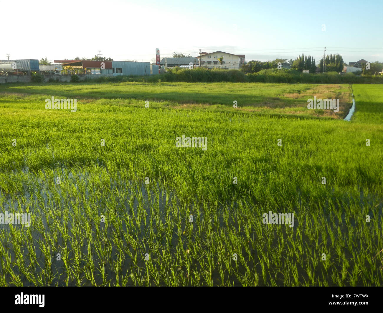09954 risaie, praterie, alberi, case di irrigazione, Sabang Baliuag, Bulacan ponti stradali 02 Foto Stock