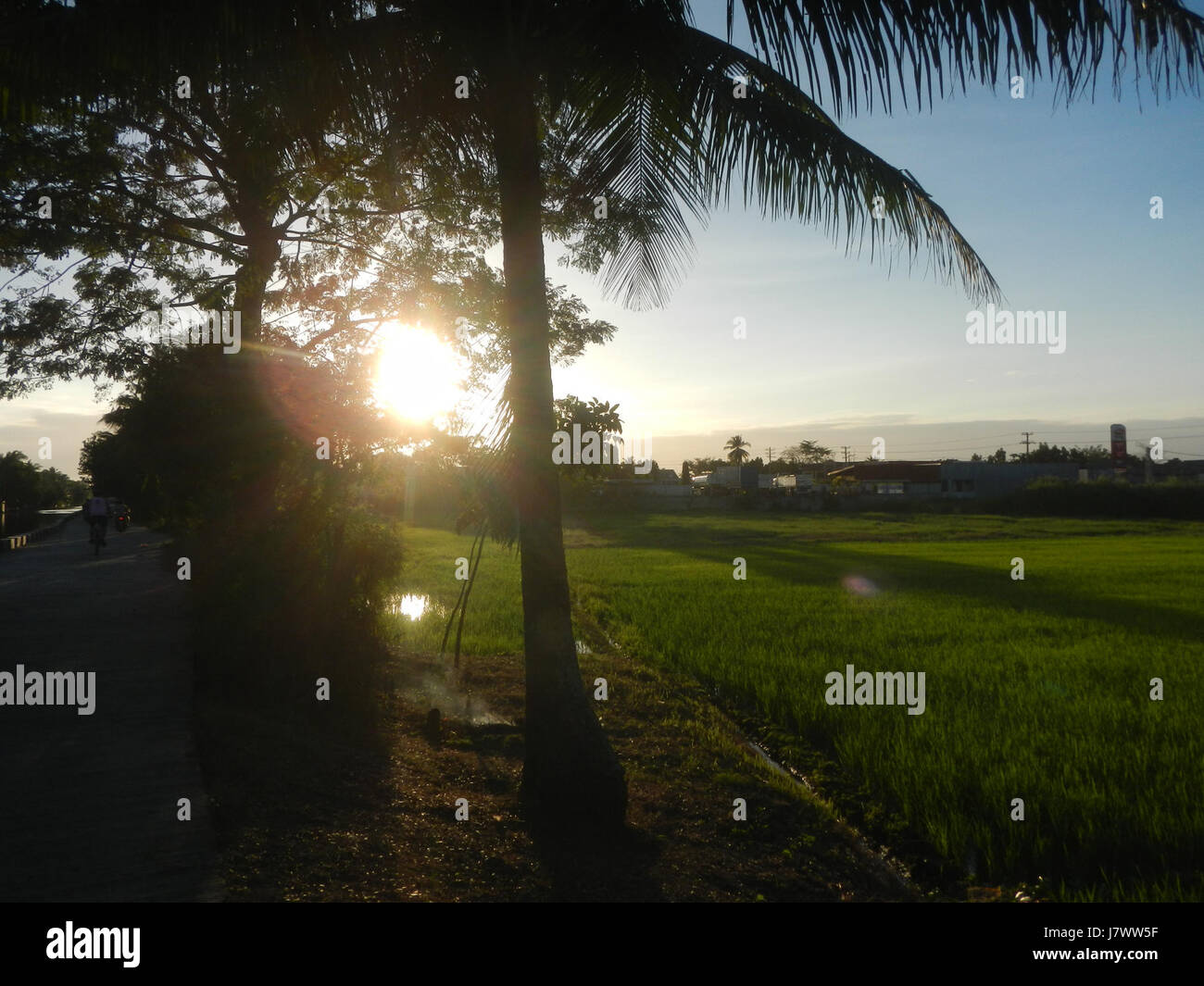 Questa immagine raffigura il paesaggio rurale di Sabang, Baliuag, Bulacan, con risaie, praterie, e case collegate da sistemi di irrigazione e ponti stradali, tipici della vita agricola della regione. Foto Stock