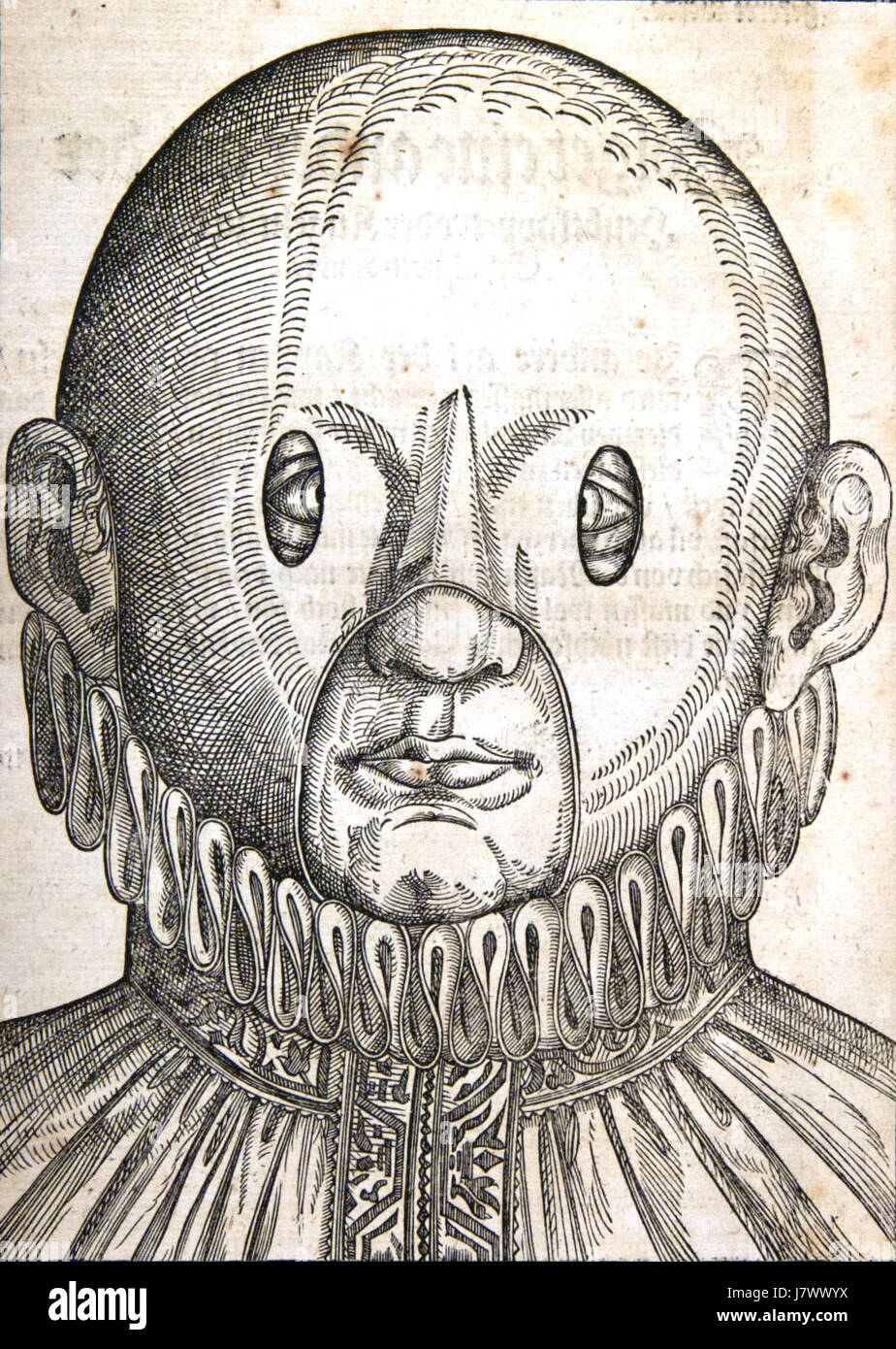 Bartisch 015r si riferisce a una pagina di un testo medico storico del medico tedesco Bartisch, risalente al XVI secolo. In questa pagina sono presenti illustrazioni anatomiche relative all'anatomia e alla visione degli occhi, che offrono informazioni sulle prime conoscenze e pratiche mediche moderne nell'oftalmologia. Si tratta di un riferimento chiave nella storia della cura degli occhi e dell'illustrazione medica. Foto Stock