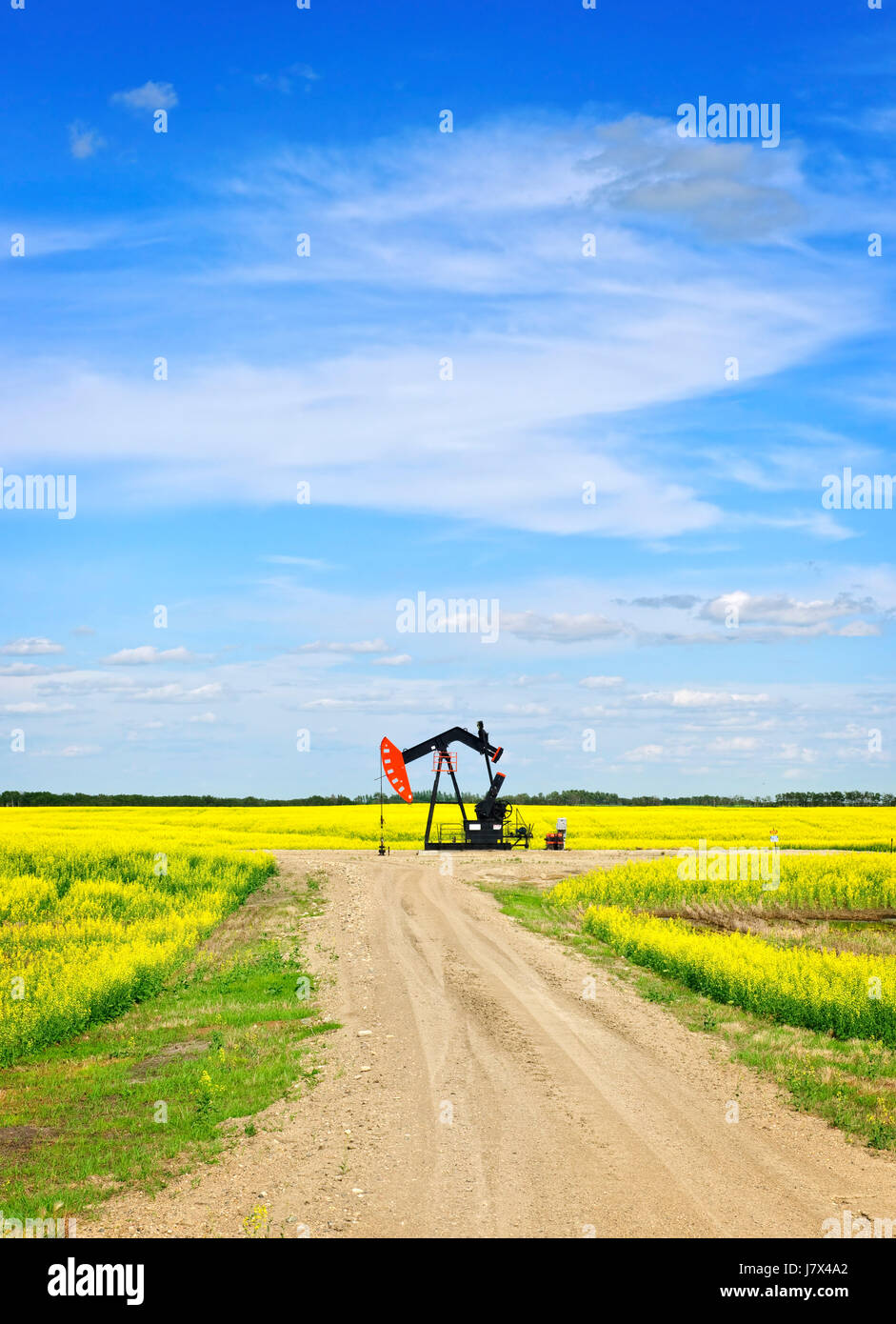 Industria del cavallo e annuire prairie pompa olio blu macchinari industriali motore Foto Stock