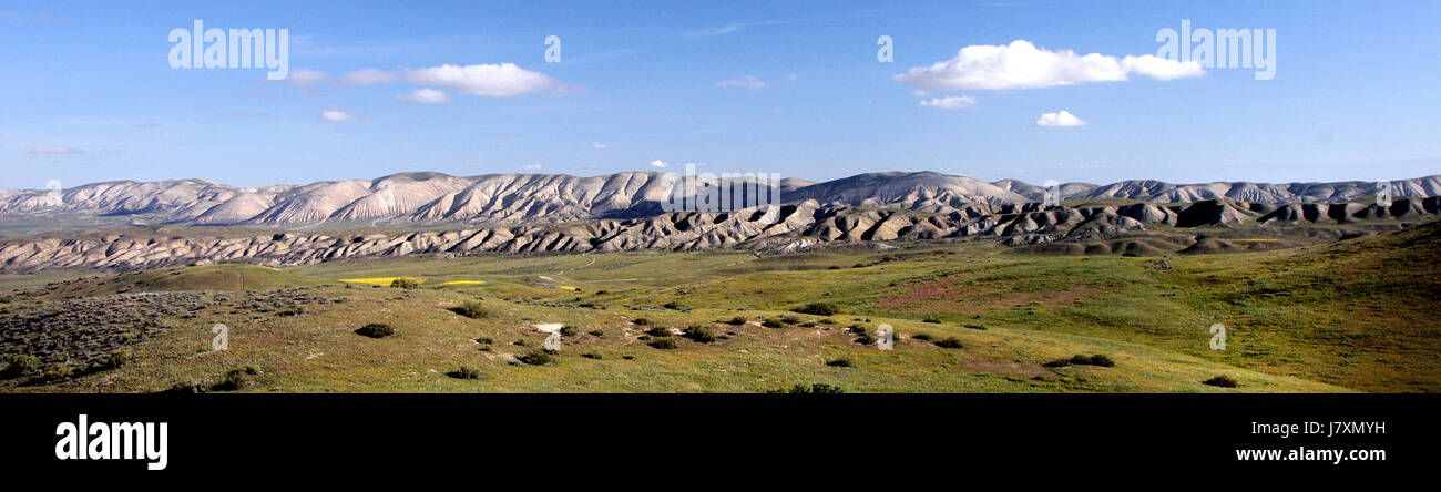 11 009 una quaglia SPRINGS ROAD, carrizo plain monumento nazionale, san luis Obispo co, ca 04 (25647060764) Foto Stock