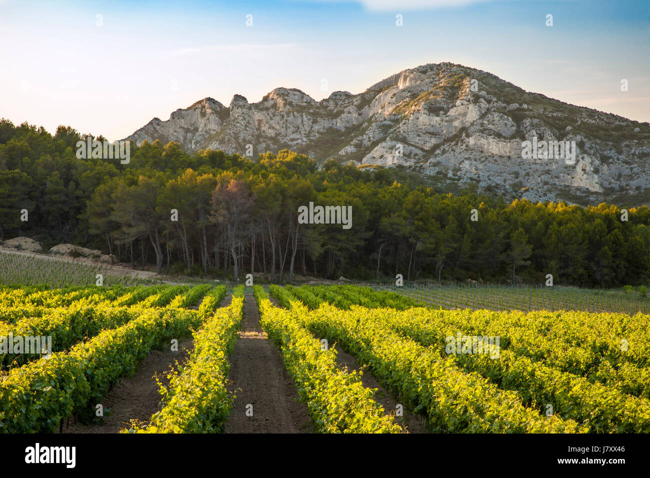 Serata sole sul Massif des Alpilles - il più grande della Chaîne des Alpilles - bassa montagna nel sud della Provenza vicino Saint-Remy-de-Provence, Francia Foto Stock