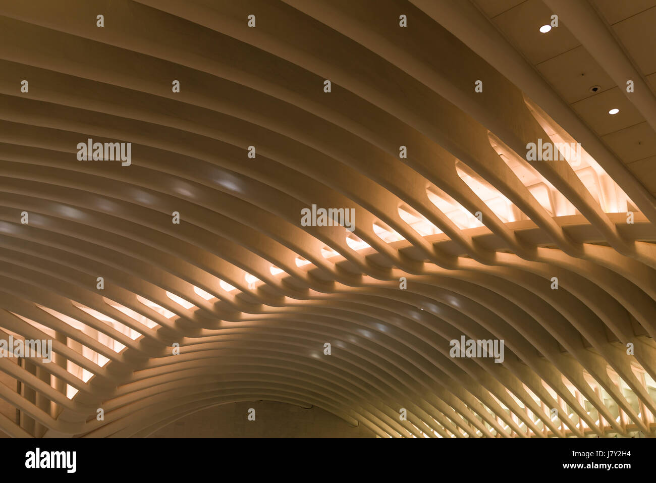 Interno dell'occhio World Trade Center Hub di trasporto sezione di percorso, New York Foto Stock
