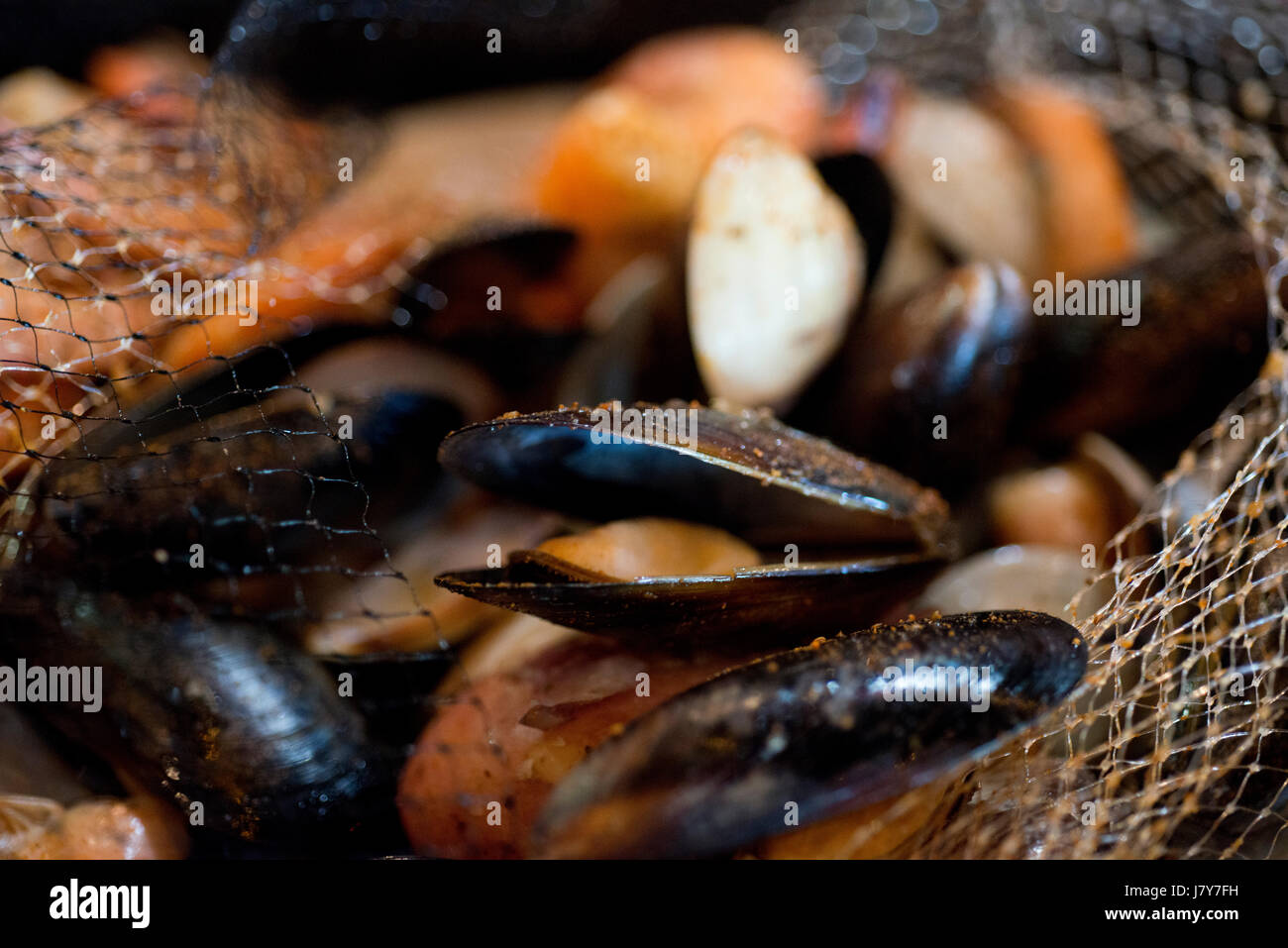 Le vongole, i gamberi, mussles, cuocere in pentola Foto Stock