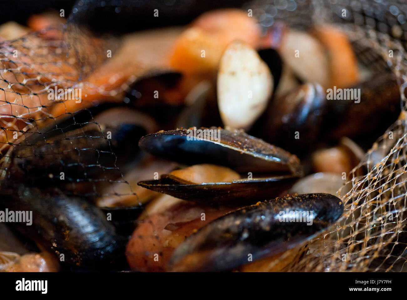 Le vongole, i gamberi, mussles, cuocere in pentola Foto Stock