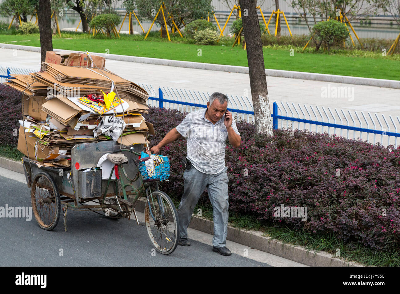 Wenzhou, Zhejiang, Cina. Collettore del cartone riciclabile utilizzando il suo telefono cellulare. Foto Stock