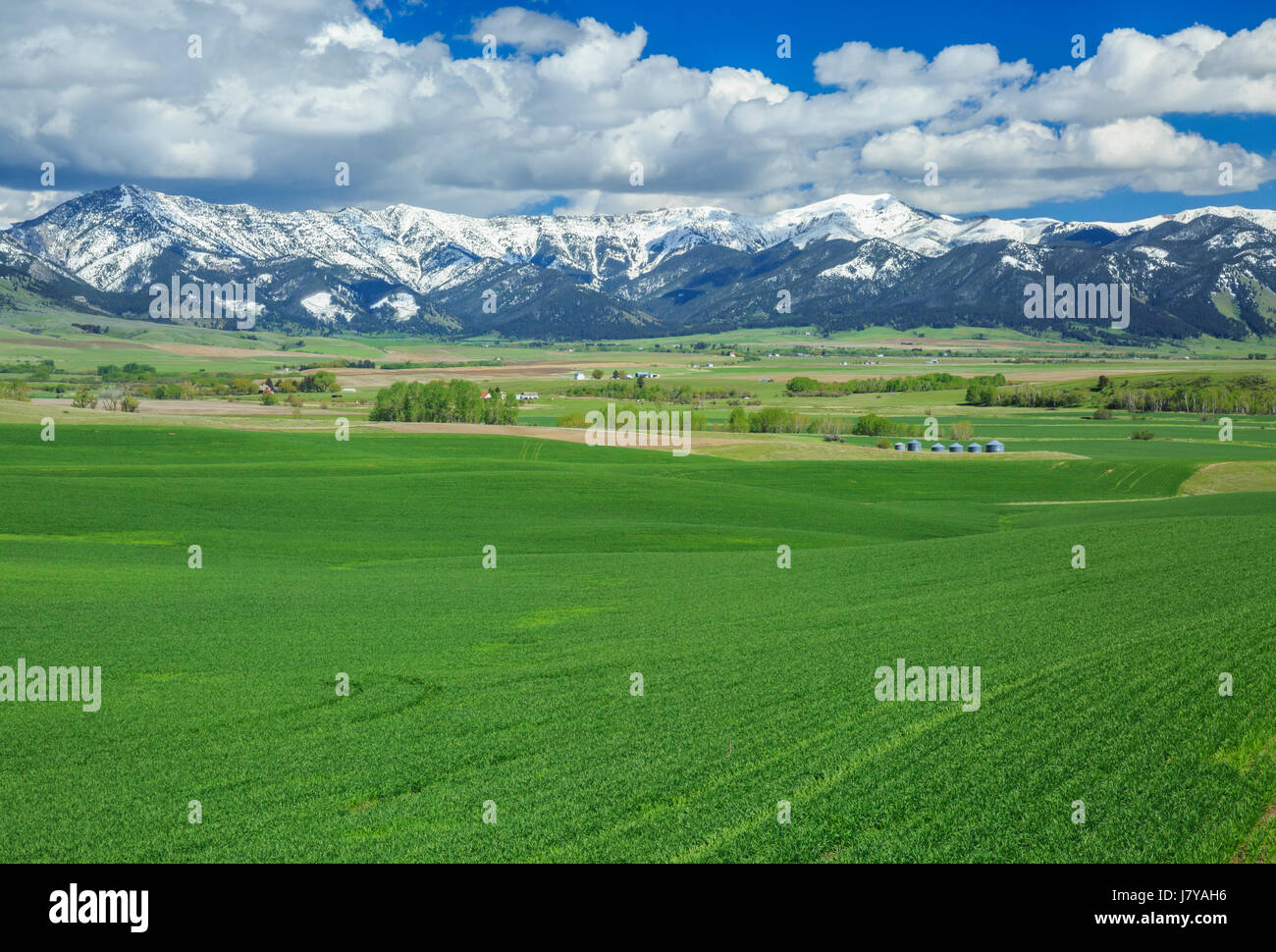 Terreni agricoli in reese Creek Valley vicino a Belgrado, montana Foto Stock