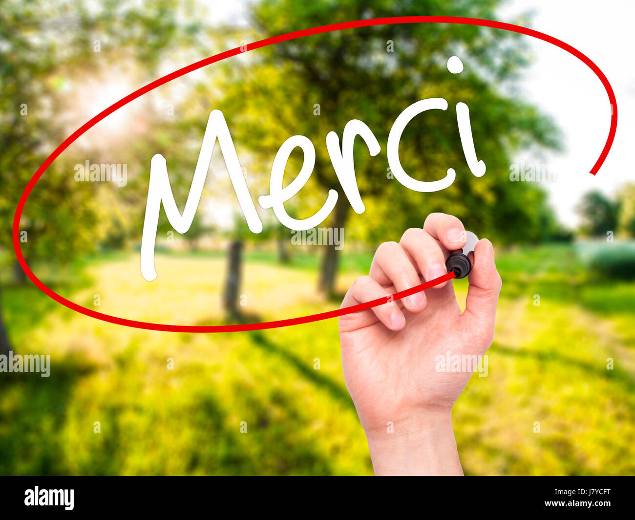 Man mano che scrive Merci (grazie in francese) con pennarello nero su schermo visivo. Isolato su sfondo. Business, tecnologia internet concetto. Stoc Foto Stock