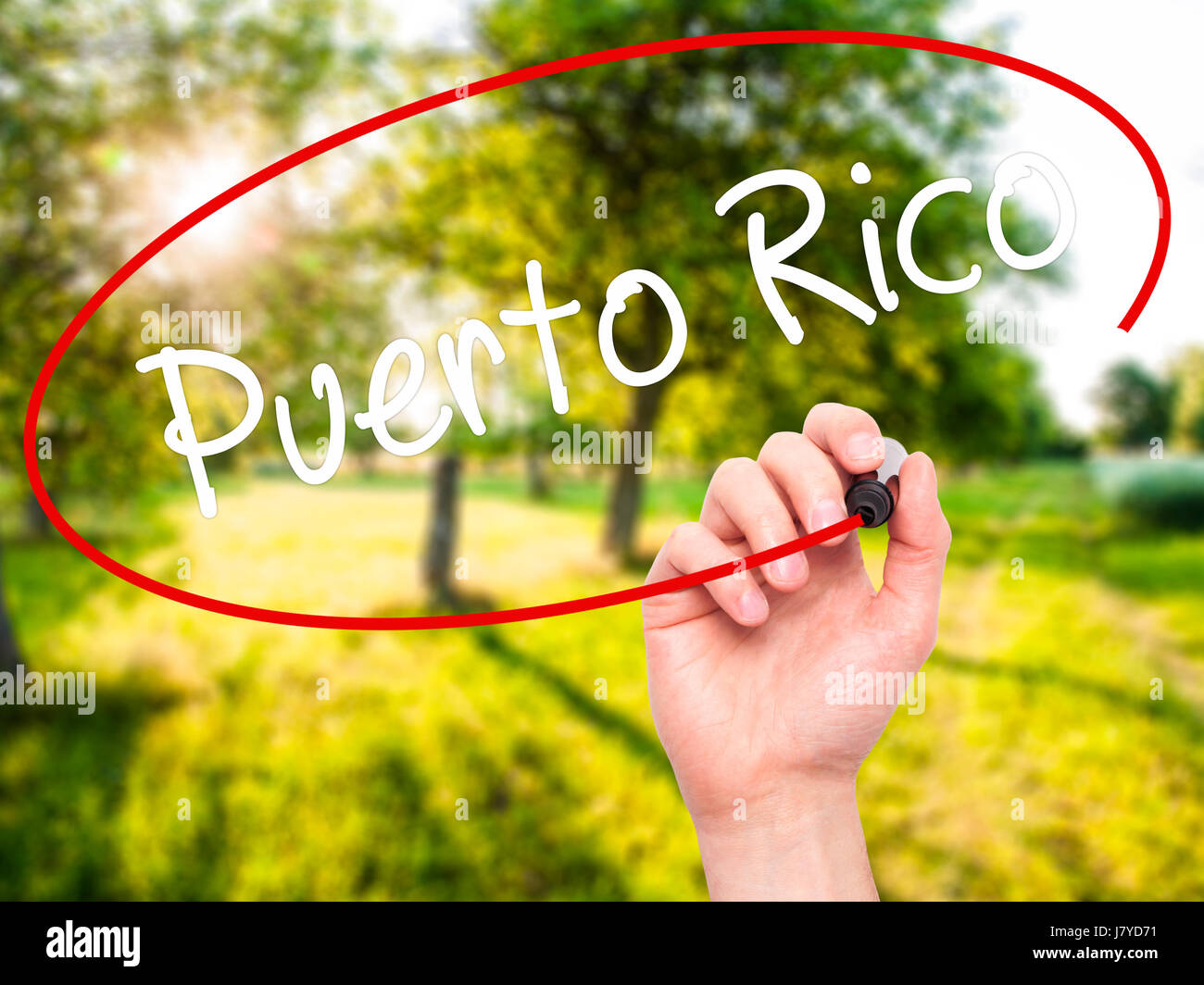 Man mano che scrive Puerto Rico con pennarello nero su schermo visivo. Isolato sulla natura. Business, tecnologia internet concetto. Stock Photo Foto Stock