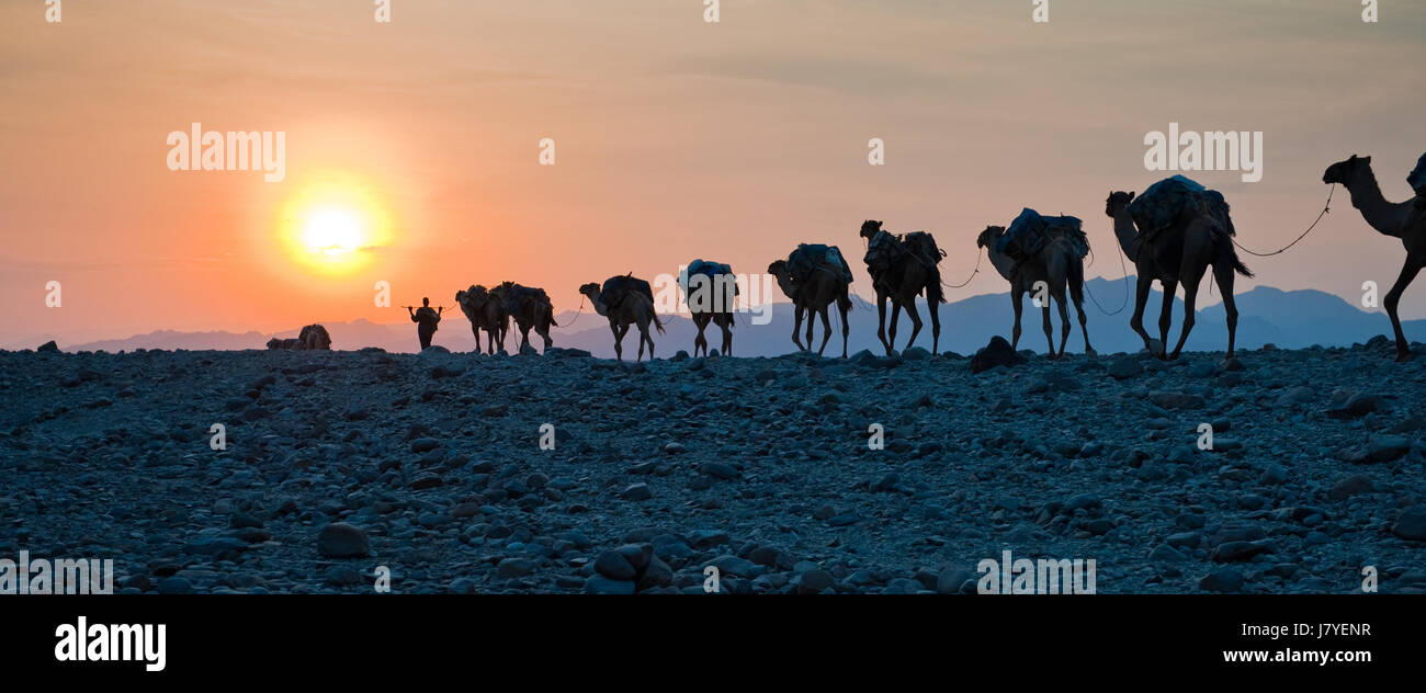 Caravan al tramonto Foto Stock