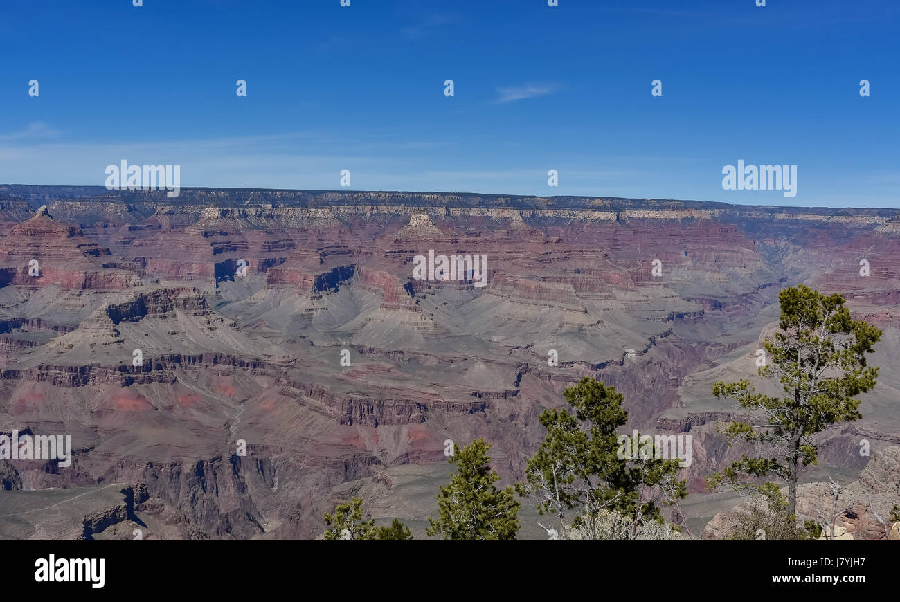 La meravigliosa North Rim del Parco Nazionale del Grand Canyon in Arizona, U.S.A. Foto Stock