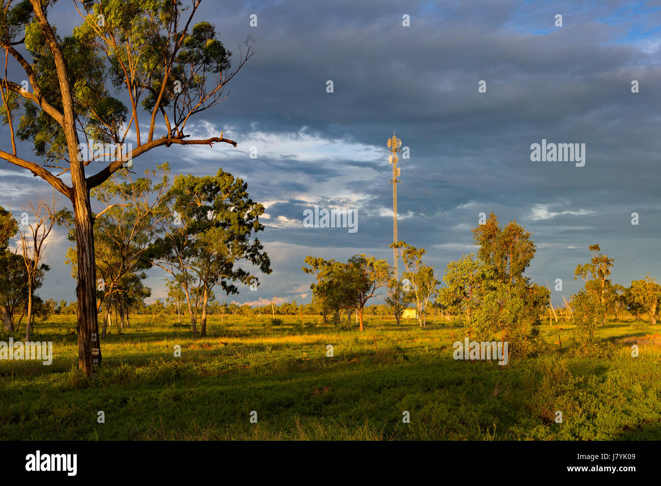 Queensland rurale di sera Foto Stock