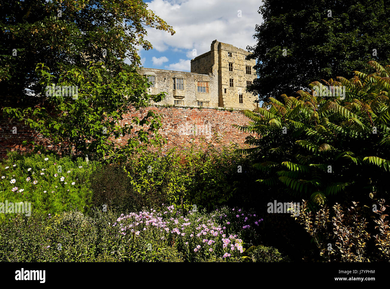 Helmsley walled gardens e il Castello di Helmsley. Foto Stock