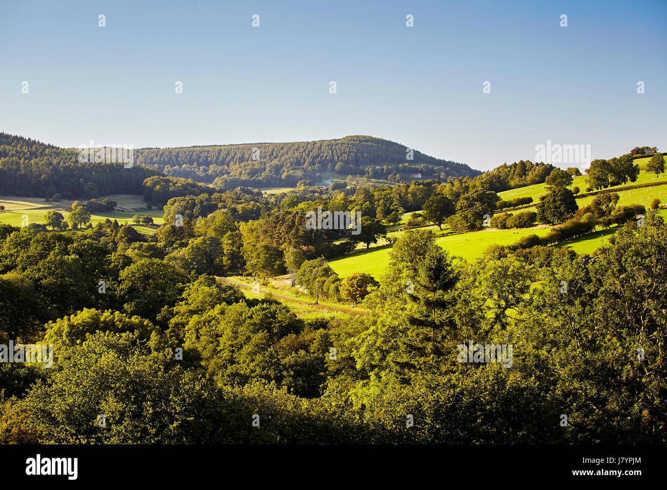 Campagna di laminazione in Ryedale vicino a Tollerton, North Yorkshire. Foto Stock