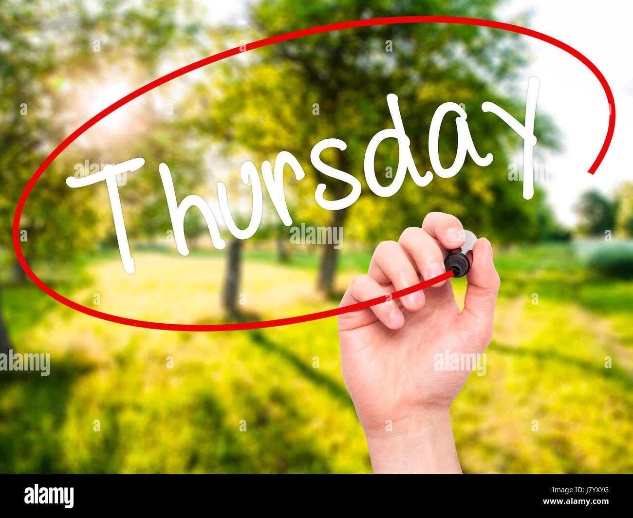 Man mano che scrive giovedì con il pennarello nero su schermo visivo. Isolato sulla natura. Business, tecnologia internet concetto. Stock Photo Foto Stock