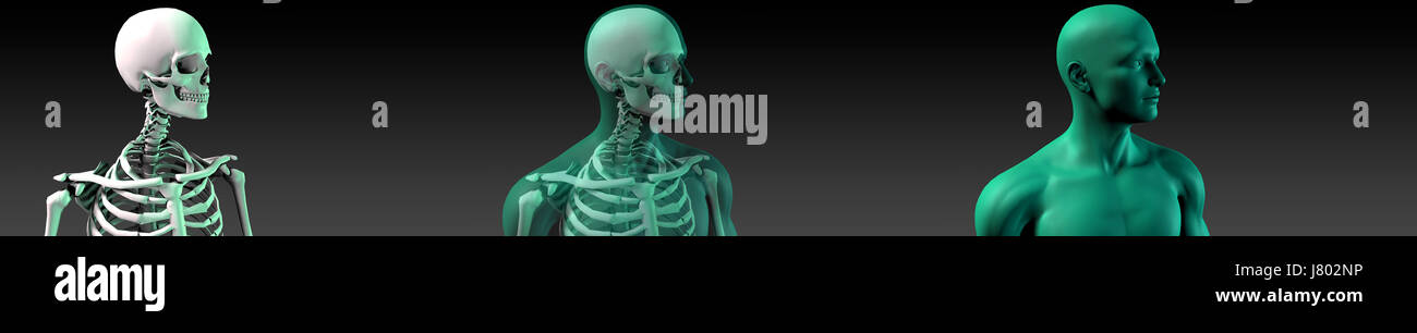 Un osso umano schema della struttura in blu e nero Foto Stock