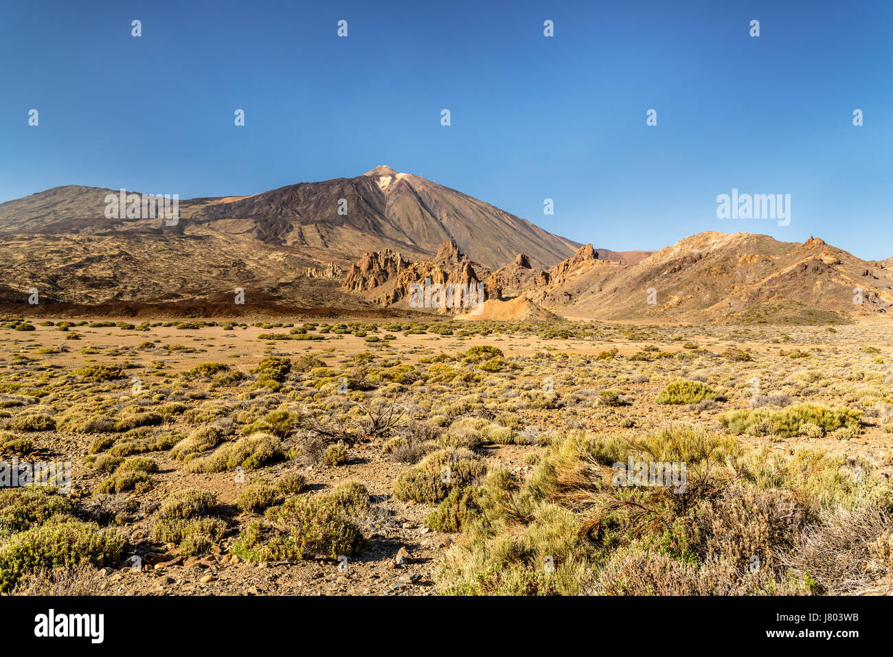 Il monte Teide da Llano de Ucanca, Tenerife Foto Stock