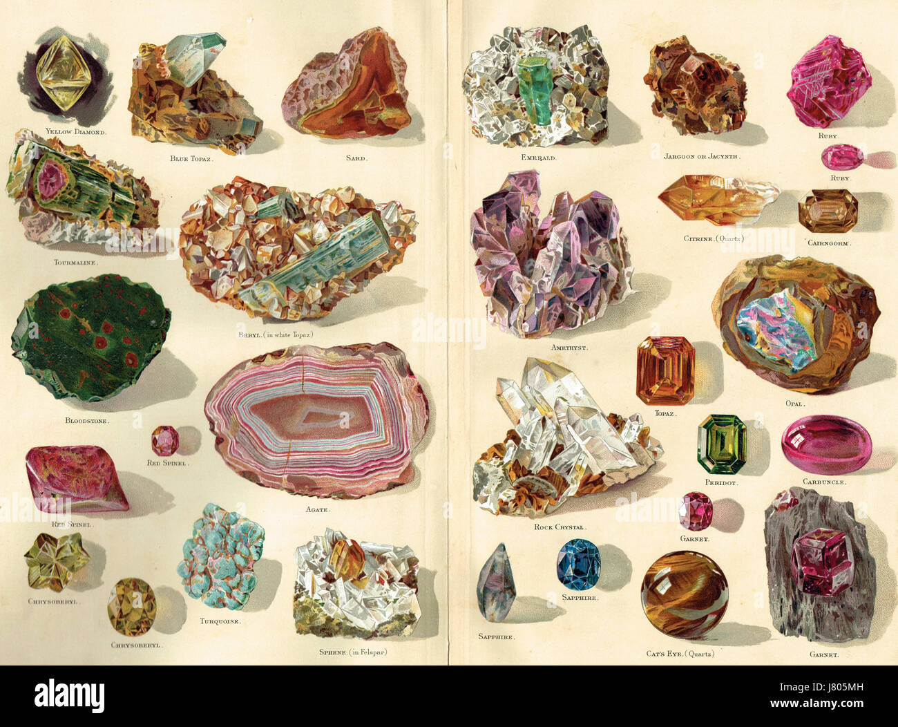 Illustrazione di pietre preziose selezione 1898 Foto Stock