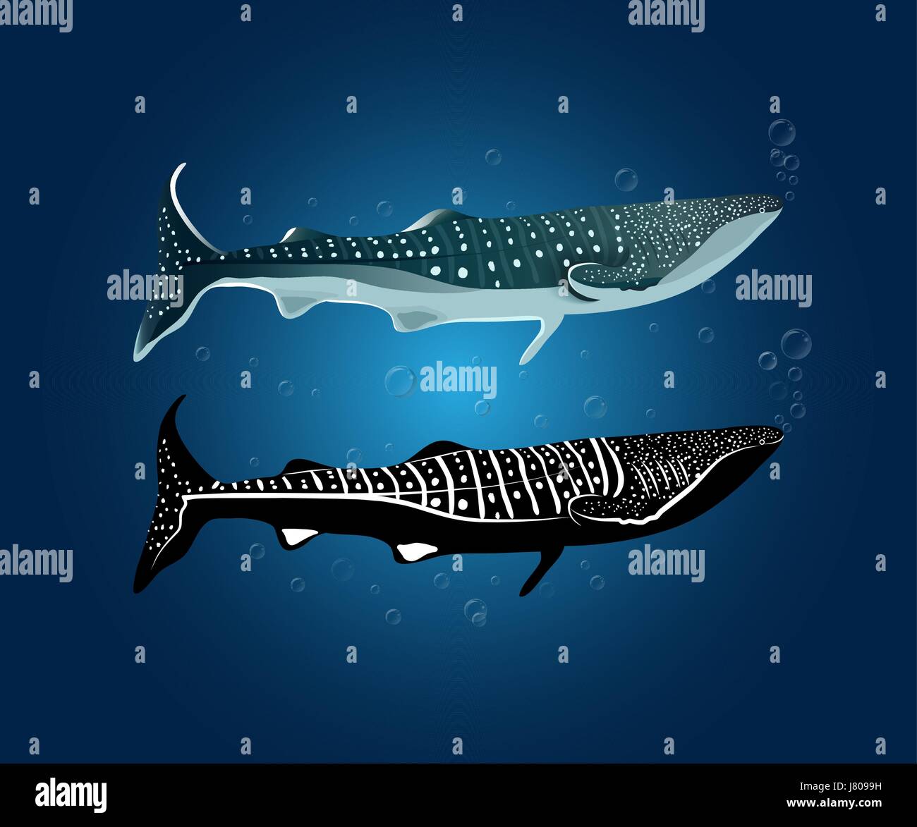 Due stile di squalo balena con bolla di acqua ( colore normale e Silhouette ) Illustrazione Vettoriale