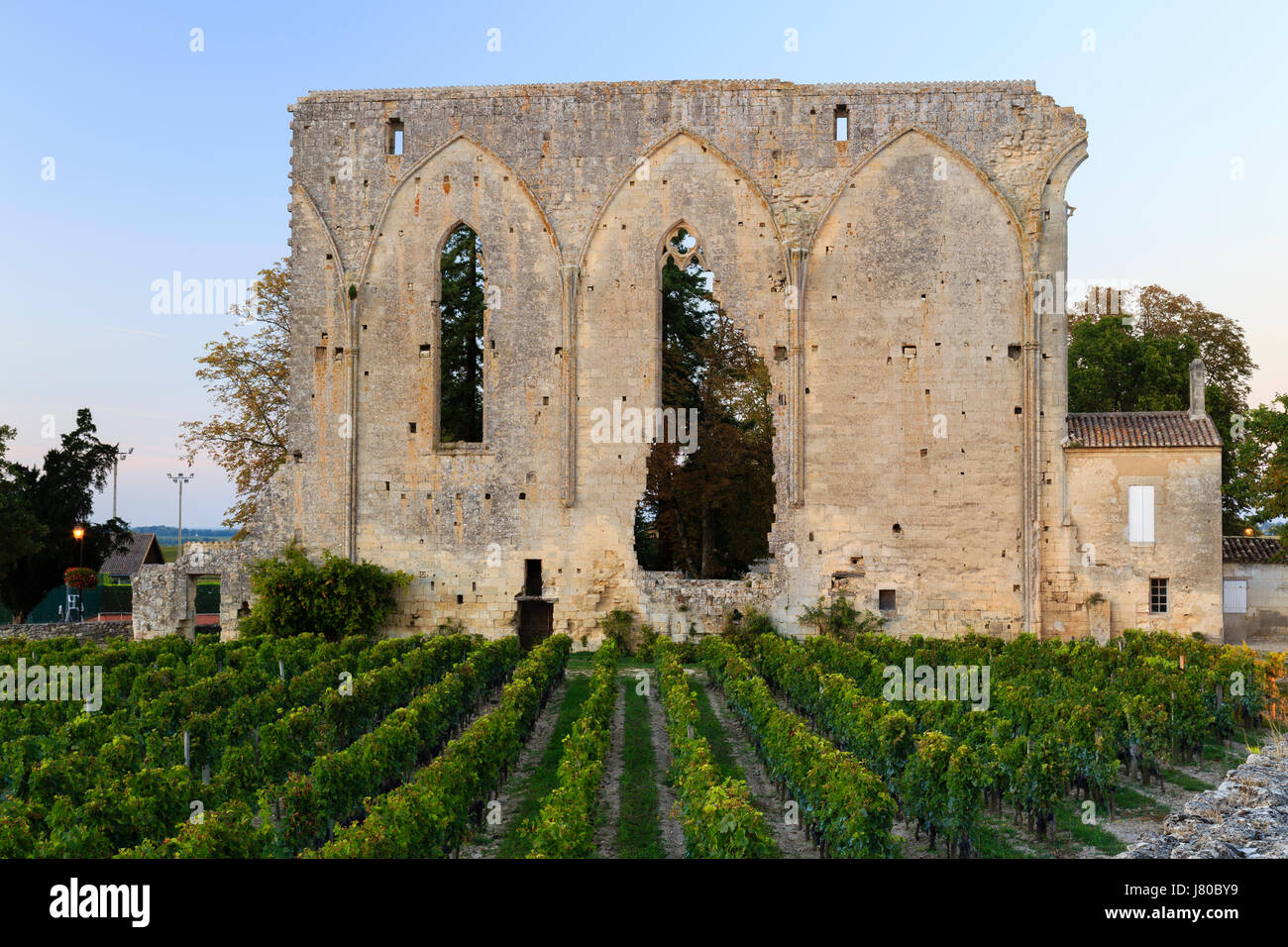 Francia, Gironde, Saint Emilion, classificato come patrimonio mondiale dall UNESCO, rimane della ex chiesa del monastero domenicano e la vigna di notte Foto Stock