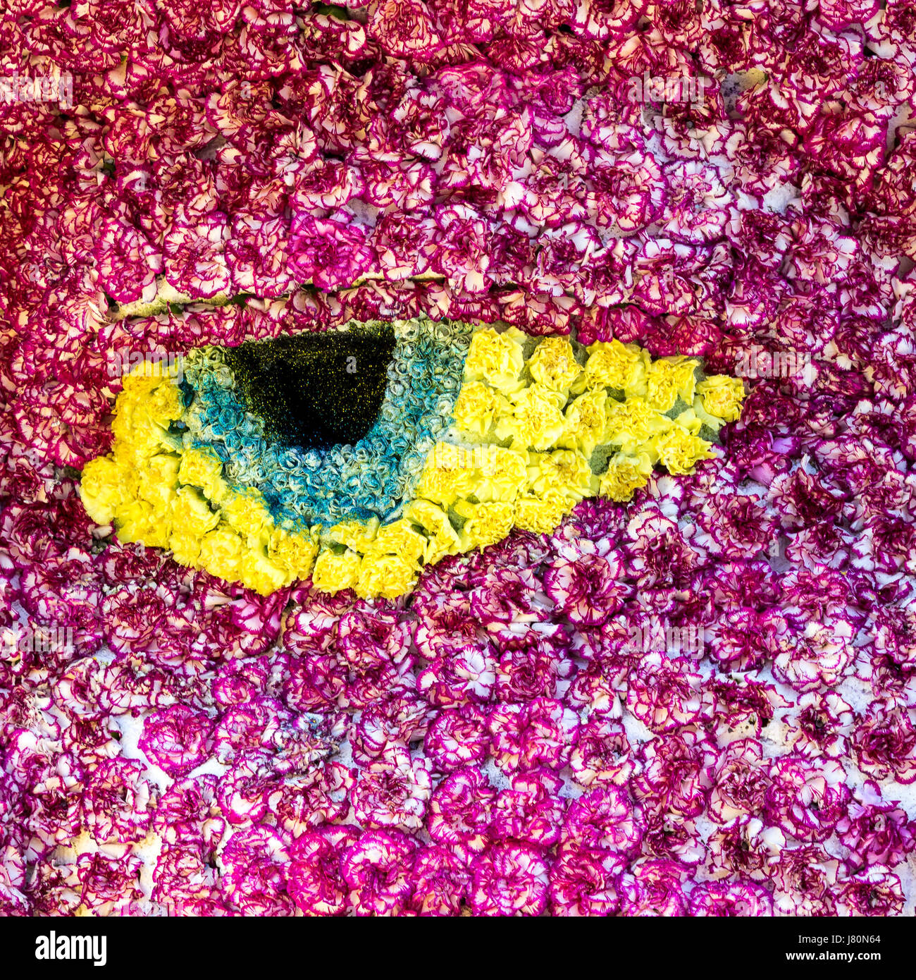 Bouquet di fiori rossi e bianchi del garofano con occhio giallo per uso come sfondo della natura. Foto Stock