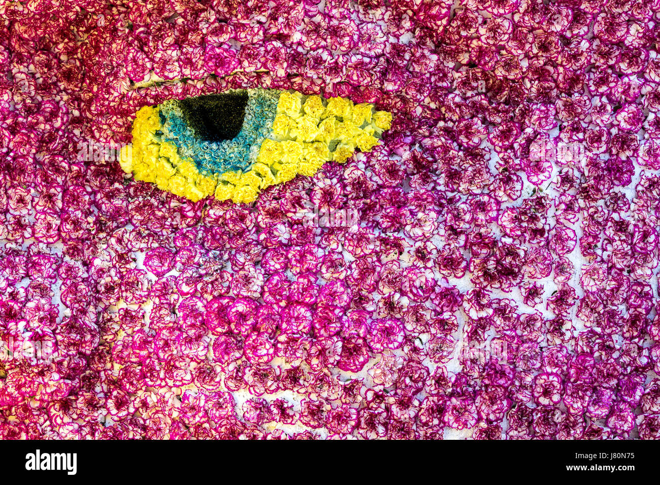 Bouquet di fiori rossi e bianchi del garofano con occhio giallo per uso come sfondo della natura. Foto Stock
