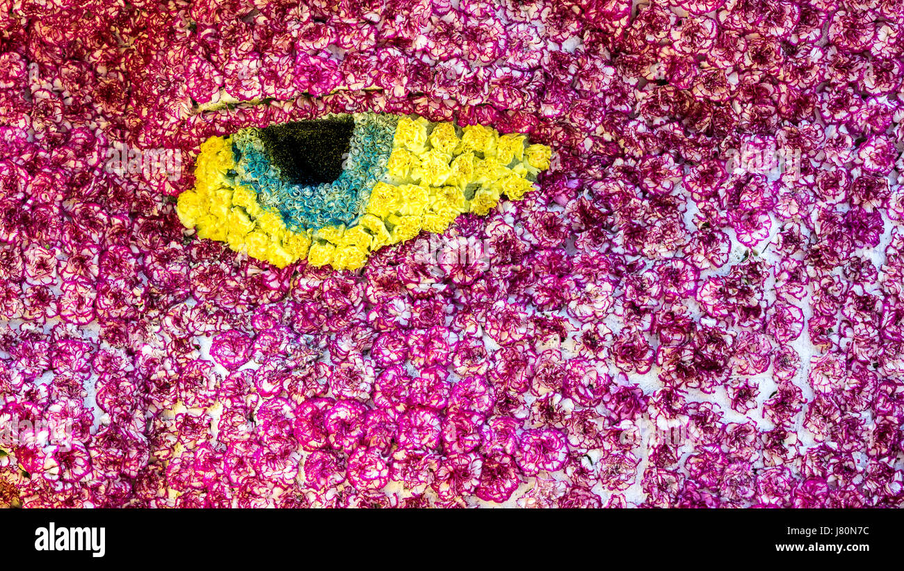 Bouquet di fiori rossi e bianchi del garofano con occhio giallo per uso come sfondo della natura. Foto Stock