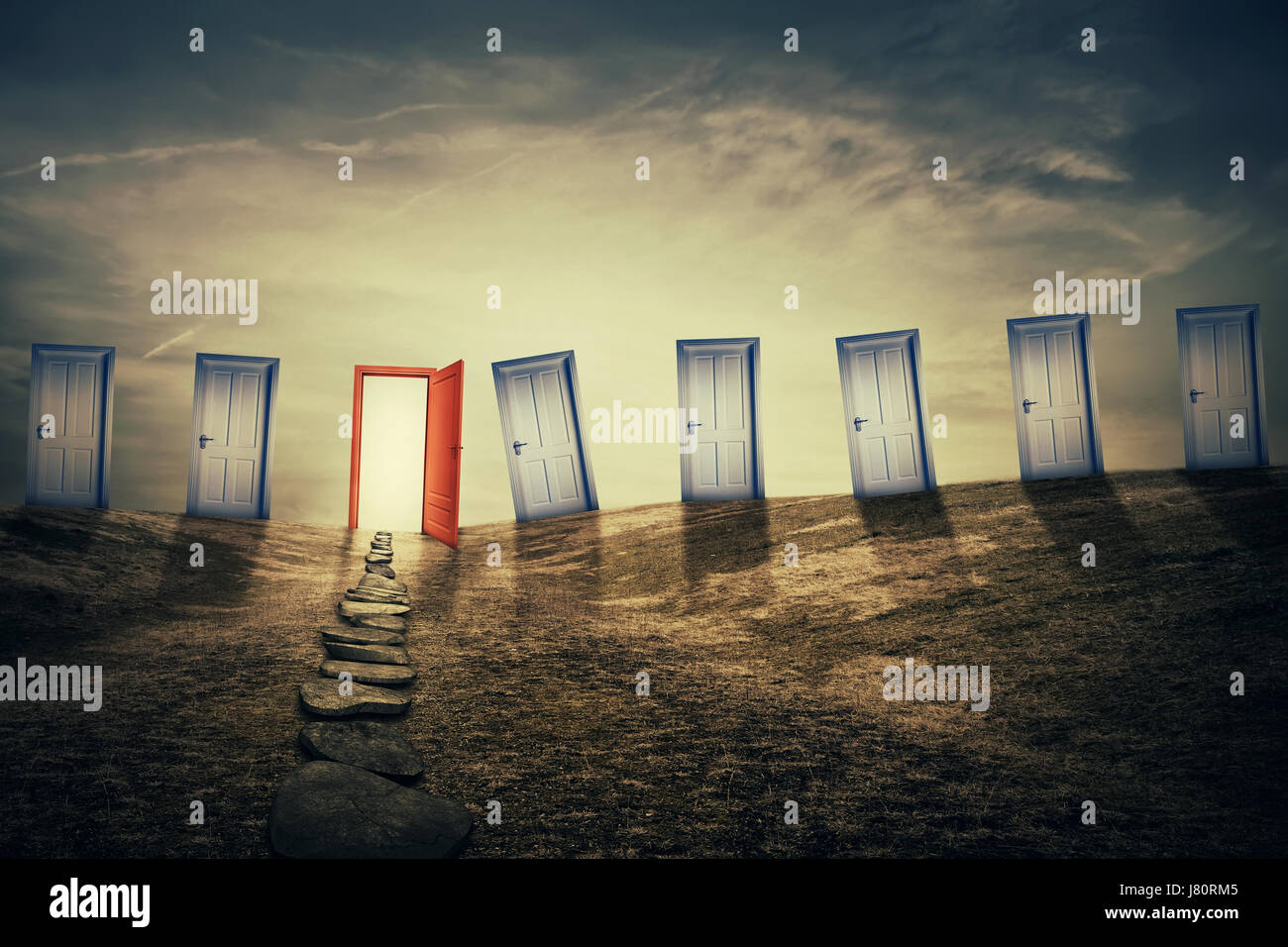 Mystic prato con un sacco di porte chiuse e uno aperto con un percorso andando a. Diverse opportunità di vita e simbolo di successo, la scelta migliore per Foto Stock