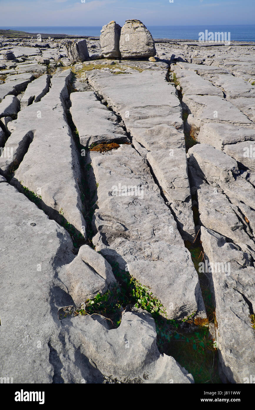 Irlanda, County Clare, Burren, Clint blocchi di pietra calcarea e fessure gryke portando ad una roccia di Boulder. Foto Stock