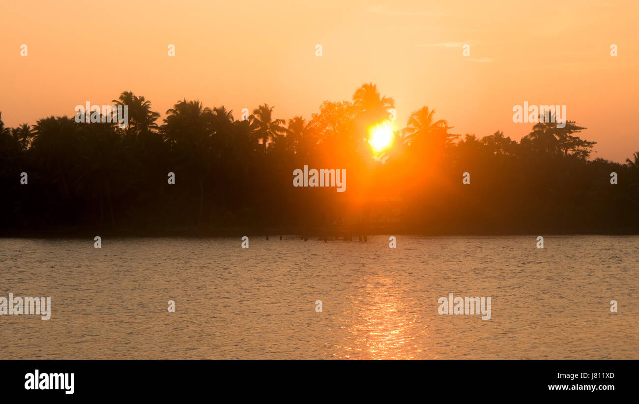 Tramonto sul fiume indiano, sun in corone di palme, uccelli in volo Foto Stock