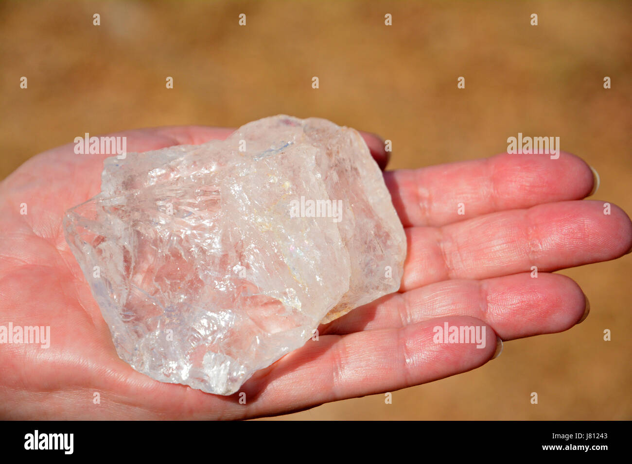 Tenere a mano una grande roccia di quarzo trasparente. Foto Stock