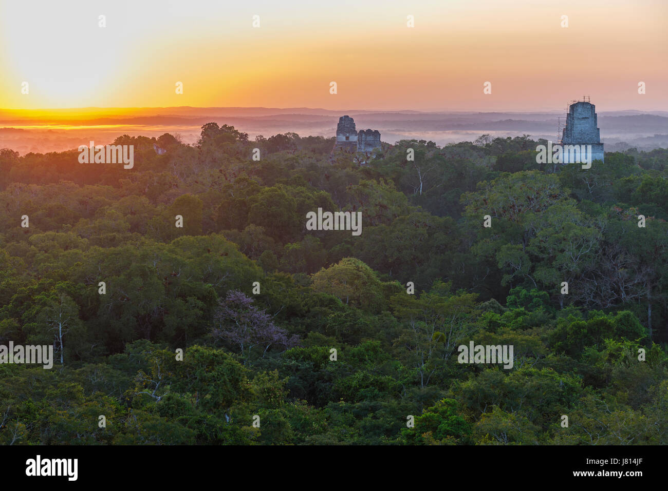 Le piramidi maya di Tikal sopra il baldacchino della foresta pluviale a sunrise nel Petén giungla vicino a Flores, Guatemala. Foto Stock