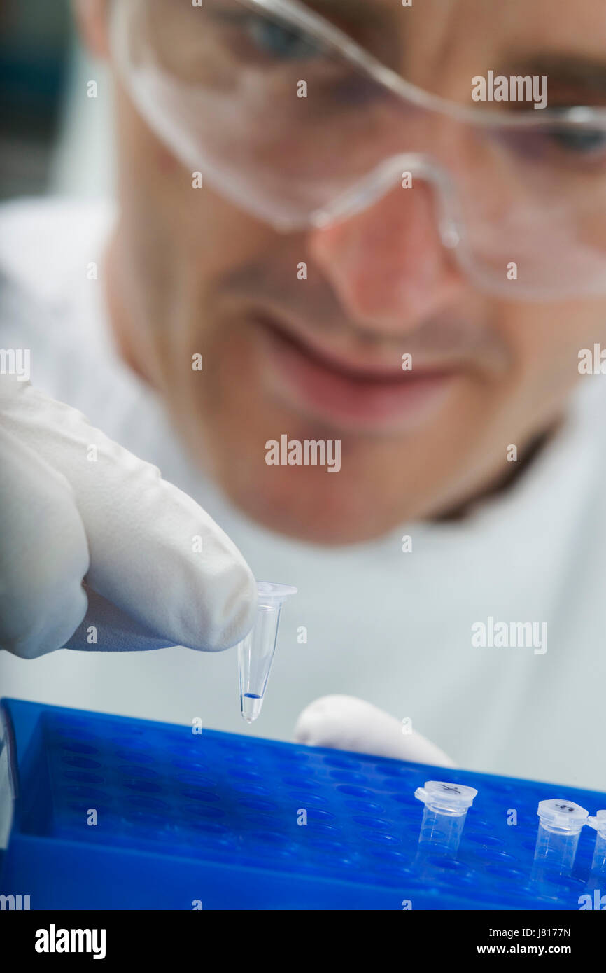 Caricamento di un tubo di DNA in una PCR (reazione a catena della polimerasi) termociclizzatore macchina in un Regno Unito Bioscience Laboratory Foto Stock