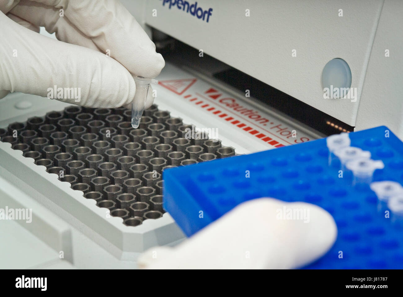 Caricamento di un tubo di DNA in una PCR (reazione a catena della polimerasi) termociclizzatore macchina in un Regno Unito Bioscience Laboratory Foto Stock