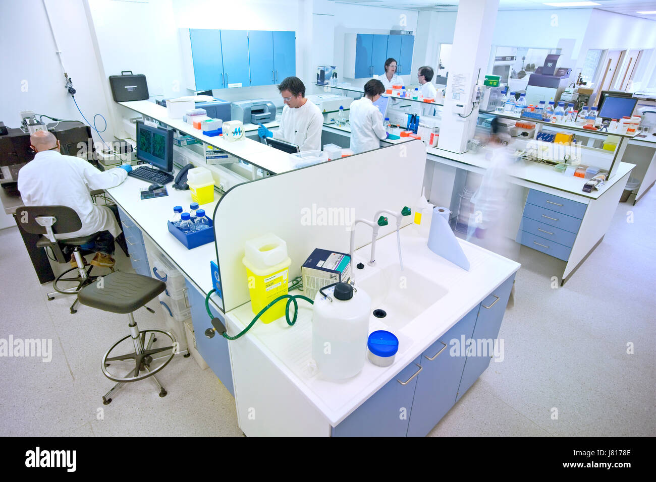 Bioscience Laboratory del Regno Unito, lavorando principalmente sulla ricerca in materia di cellule staminali Foto Stock