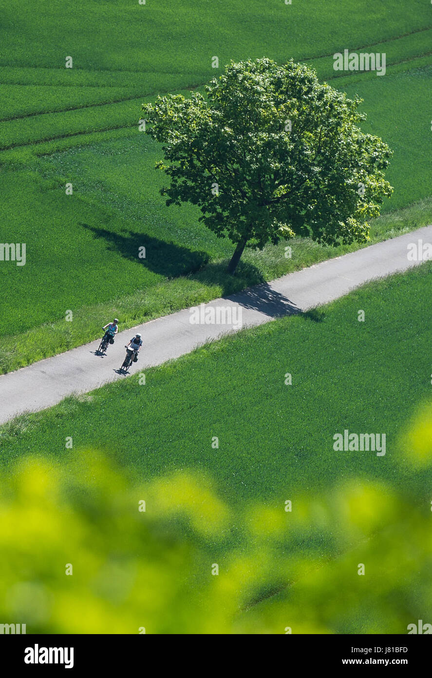 Hameln, Germania. 26 Maggio, 2017. I ciclisti guidare su pista ciclabile lungo il fiume Weser vicino a Hameln, Germania, 26 maggio 2017. Foto: Sila Stein/dpa/Alamy Live News Foto Stock