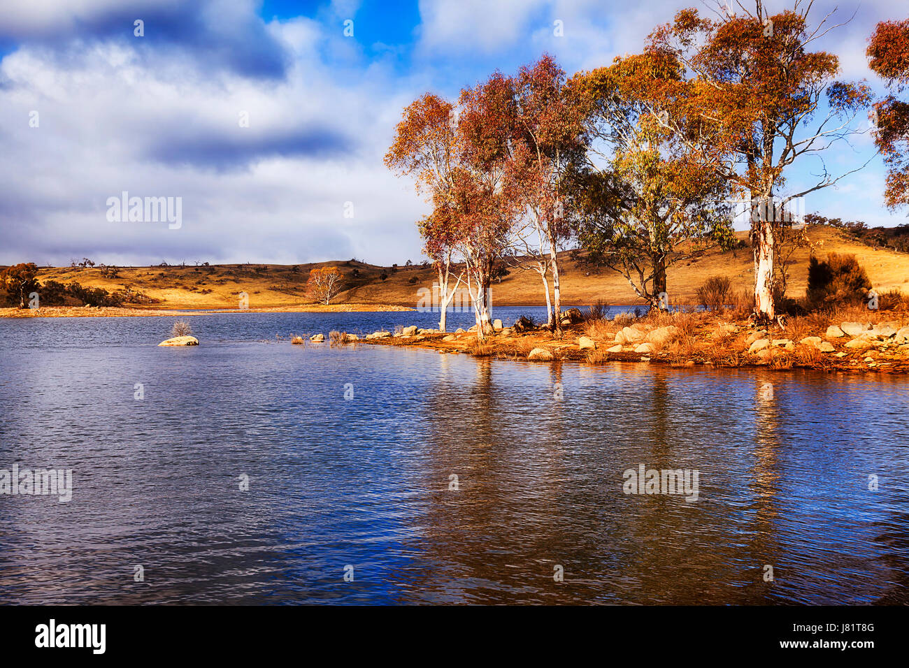 Warm accesa gum alberi riflettendo in acque blu del lago Jindabyne in Australian montagne innevate su una soleggiata giornata invernale. Foto Stock