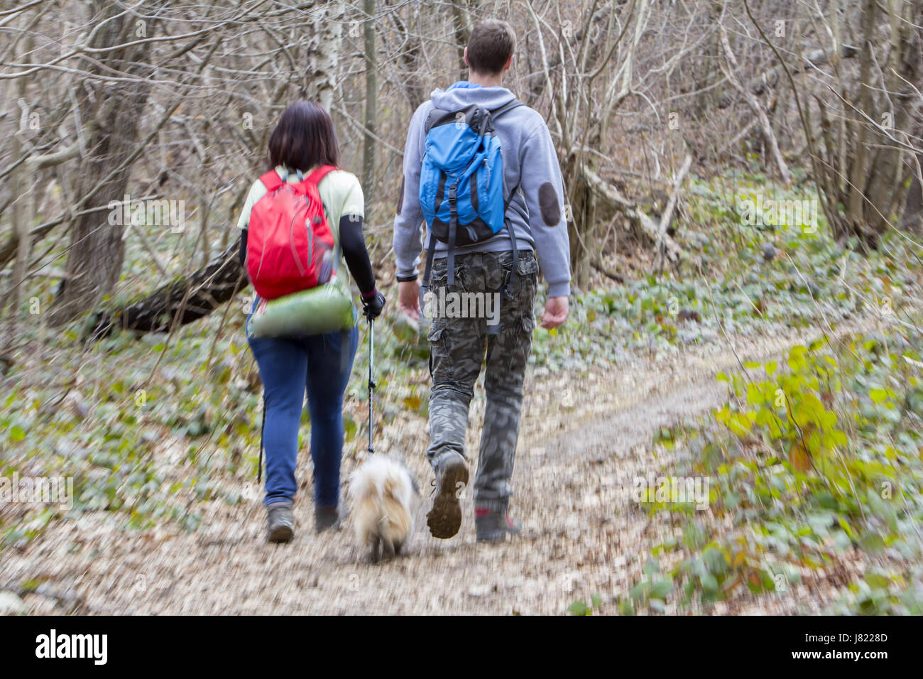 Coppia giovane con un cane a piedi nei boschi, movimento sfocato Foto Stock