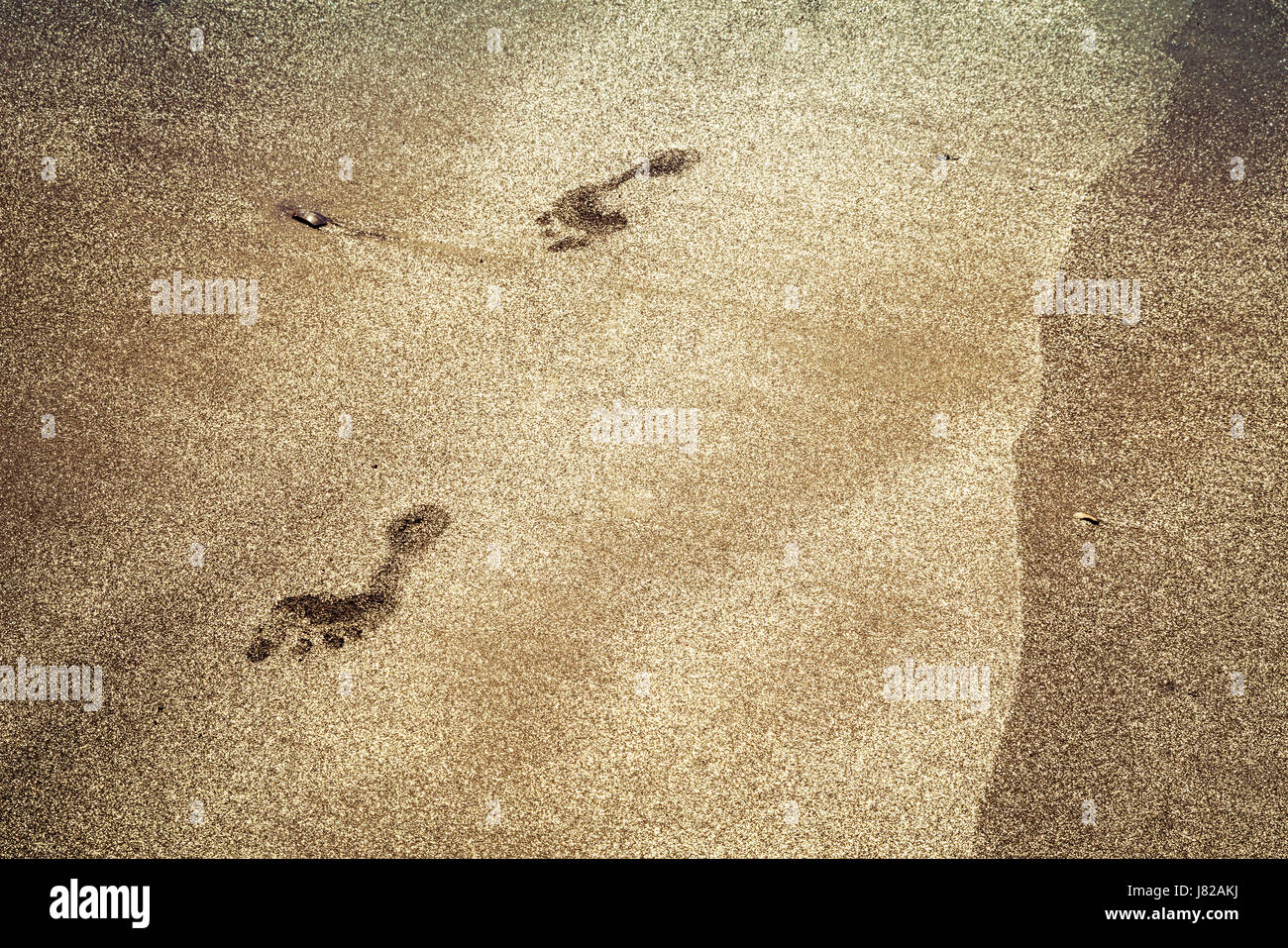 Coronado Beach ha effettivamente il minerale di mica in esso che dà l'apparenza di oro. Foto Stock