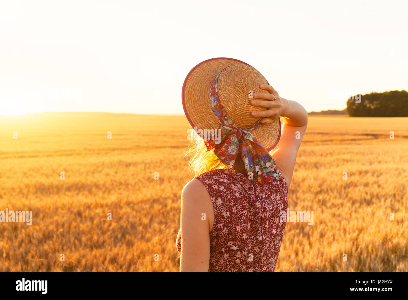 Vista posteriore di una ragazza in piedi nel campo giallo e godersi l'estate in natura, ora d'oro, tramonto Foto Stock